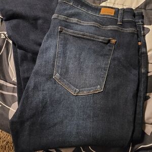 BNWOT Judy Blue skinny jeans sz 22.